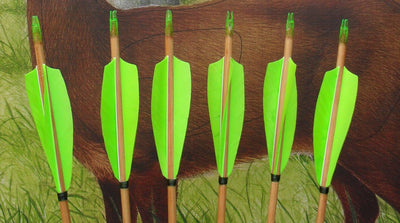 Bogensport Römer Holzpfeile