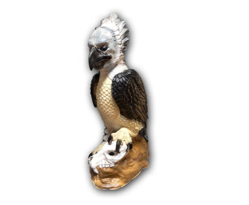 Center-Point Harpyie