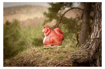 Center-Point Eichhörnchen