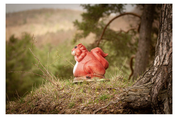 Center-Point Eichhörnchen