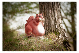 Center-Point Eichhörnchen - 0