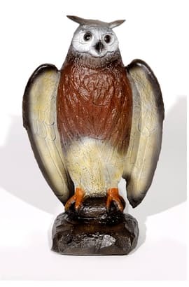 Franzbogen Uhu drohend - 0