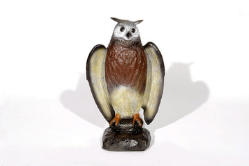 Franzbogen Uhu drohend