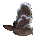 Leitold's oehoe die vliegt-4