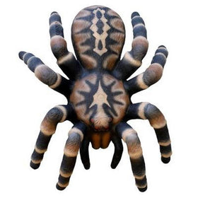 Leitold große Vogelspinne