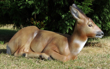 NaturFoam Reh liegend