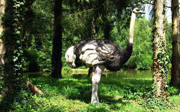 NaturFoam Strauß