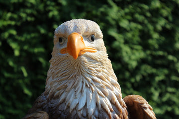 TC Targets Adler Horst - 0