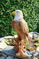 TC Targets Adler Horst-3