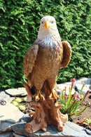 TC Targets Adler Horst-1