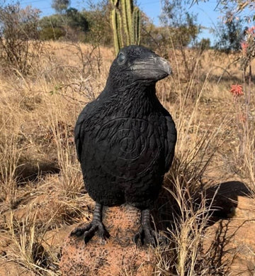 Wildcrete Kolkrabe - 0