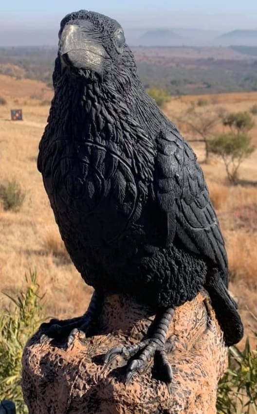 Wildcrete Kolkrabe