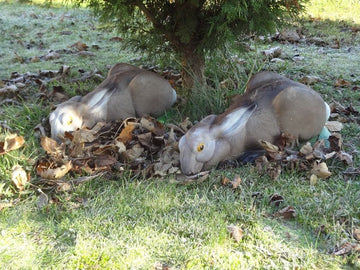 NaturFoam Feldhase liegend