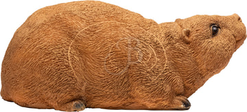 Booster Nutria, Biberratte - 0