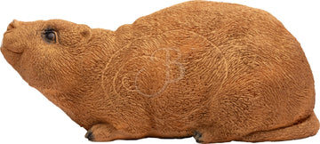 Booster Nutria, Biberratte
