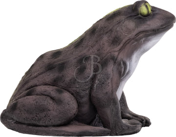 Booster Frosch - 0
