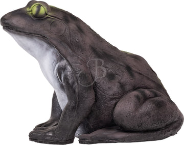 Booster Frosch