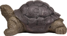 Booster Schildkröte - 0