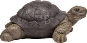 Booster Schildkröte