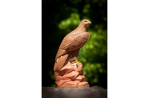 Center-Point Adler