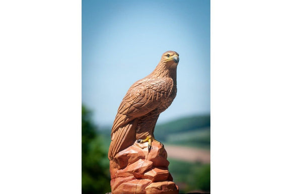 Center-Point Adler