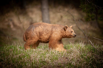 Center-Point Braunbär - 0