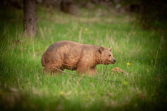 Center-Point Braunbär