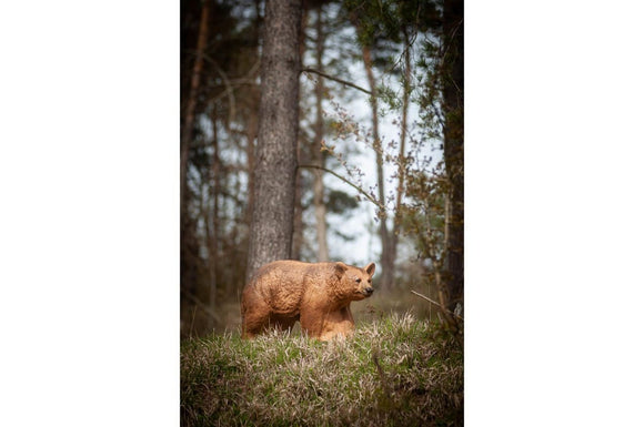 Center-Point Braunbär