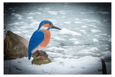 Center-Point IJsvogel - 0