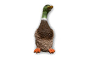 Center-Point Ente, stehend-3