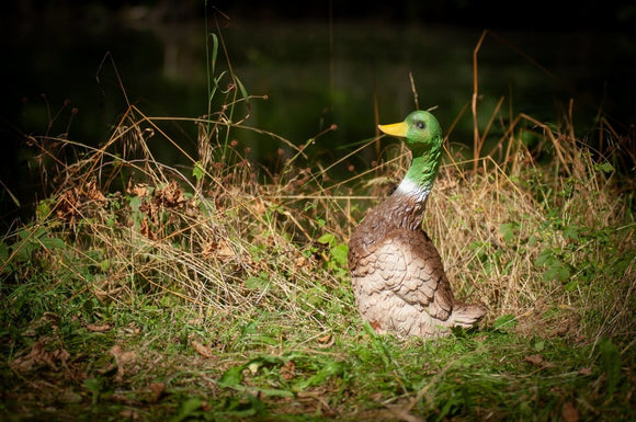 Center-Point Ente, stehend