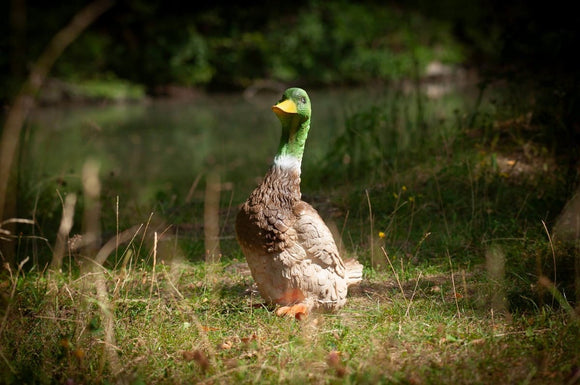 Center-Point Ente, stehend