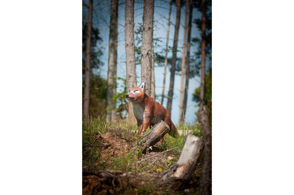 Center-Point Fuchs