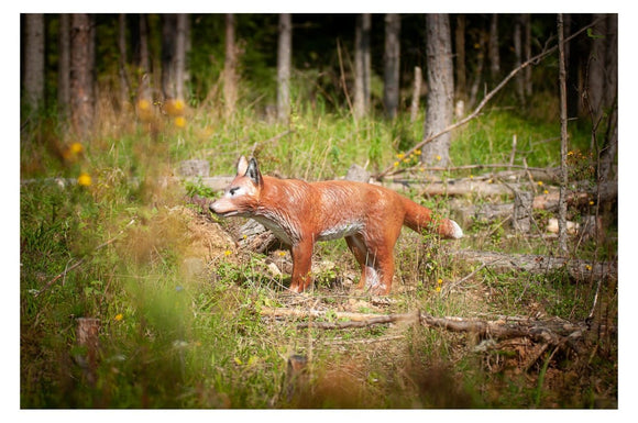 Center-Point Fuchs