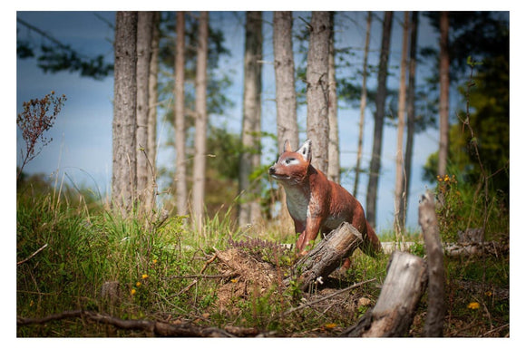 Center-Point Fuchs