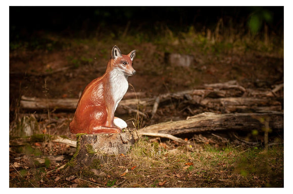 Center-Point Fuchs, sitzend