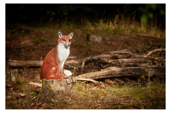 Center-Point Fuchs, sitzend