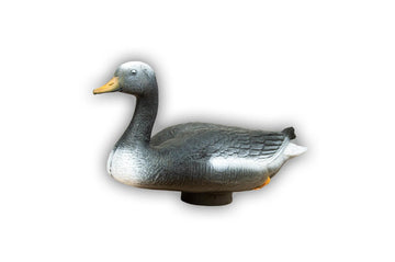 Center-Point Graugans