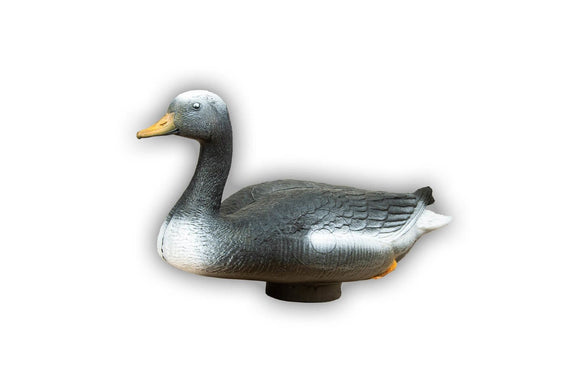 Center-Point Graugans