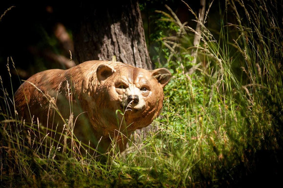 Center-Point Grizzly, laufend