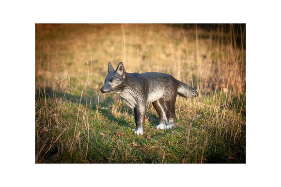 Center-Point kleiner Wolf