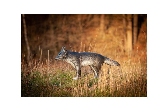 Center-Point kleiner Wolf