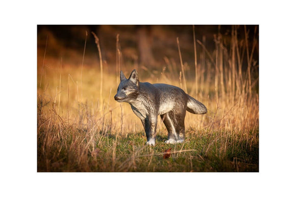 Center-Point kleiner Wolf