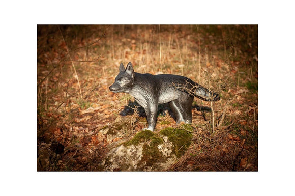 Center-Point kleiner Wolf