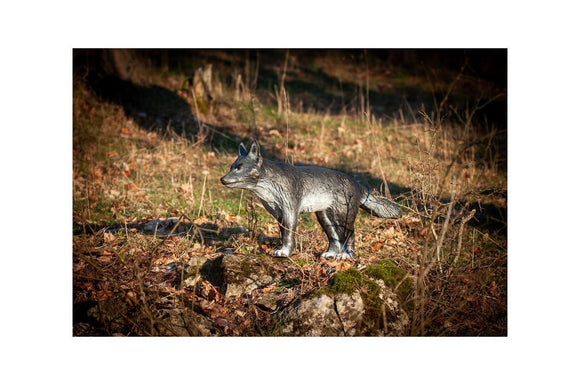 Center-Point kleiner Wolf
