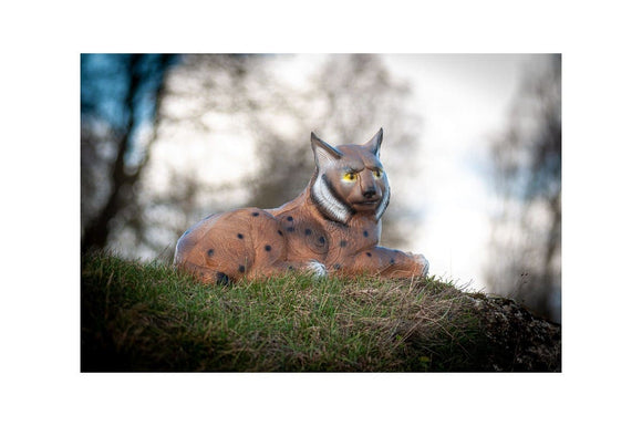 Center-Point Luchs, liegend