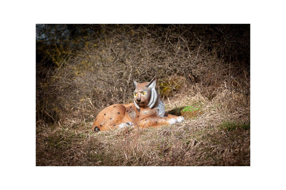 Center-Point Luchs, liegend