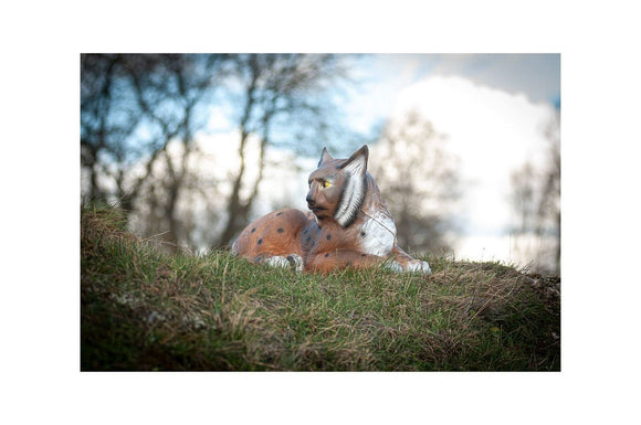 Center-Point Luchs, liegend