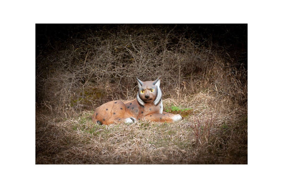 Center-Point Luchs, liegend