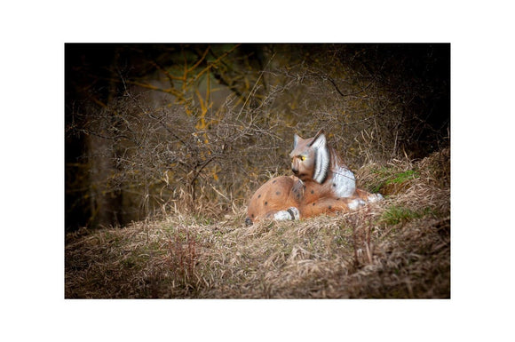 Center-Point Luchs, liegend